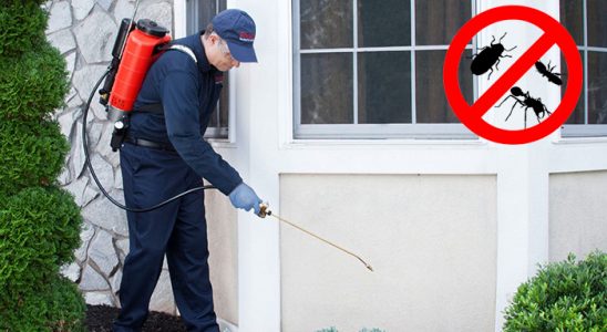 Bozüyük Fare İlaçlama böcek ilaçlama ve haşere kontrolü — ilaclama-tr.com